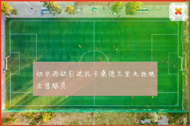 切尔西欲引进扎卡桑德兰坚决拒绝出售球员